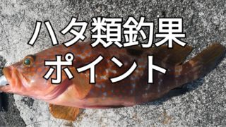 21年版 関西メバル釣りポイント52選 アングリングインベスター