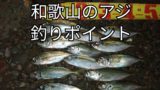 関西アジ釣りポイント17選 21年版 アングリングインベスター