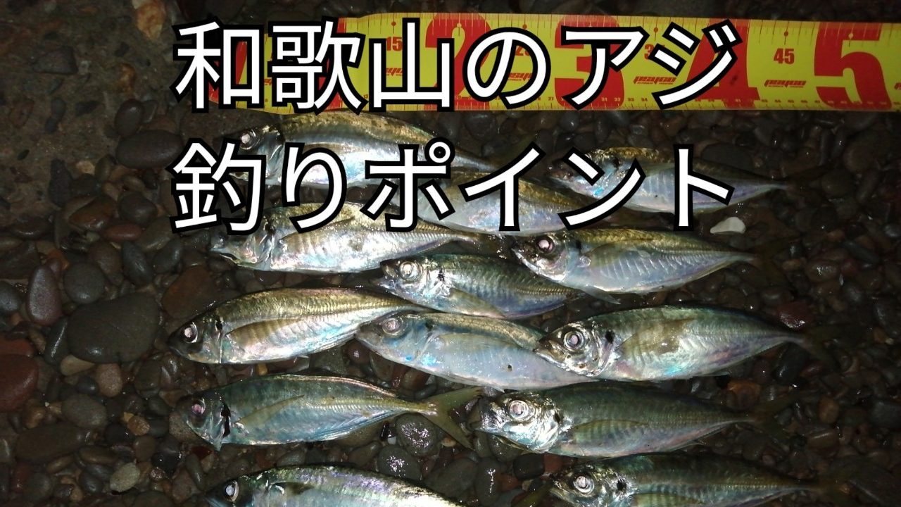 和歌山のアジ釣りポイント6選 21年版 アングリングインベスター