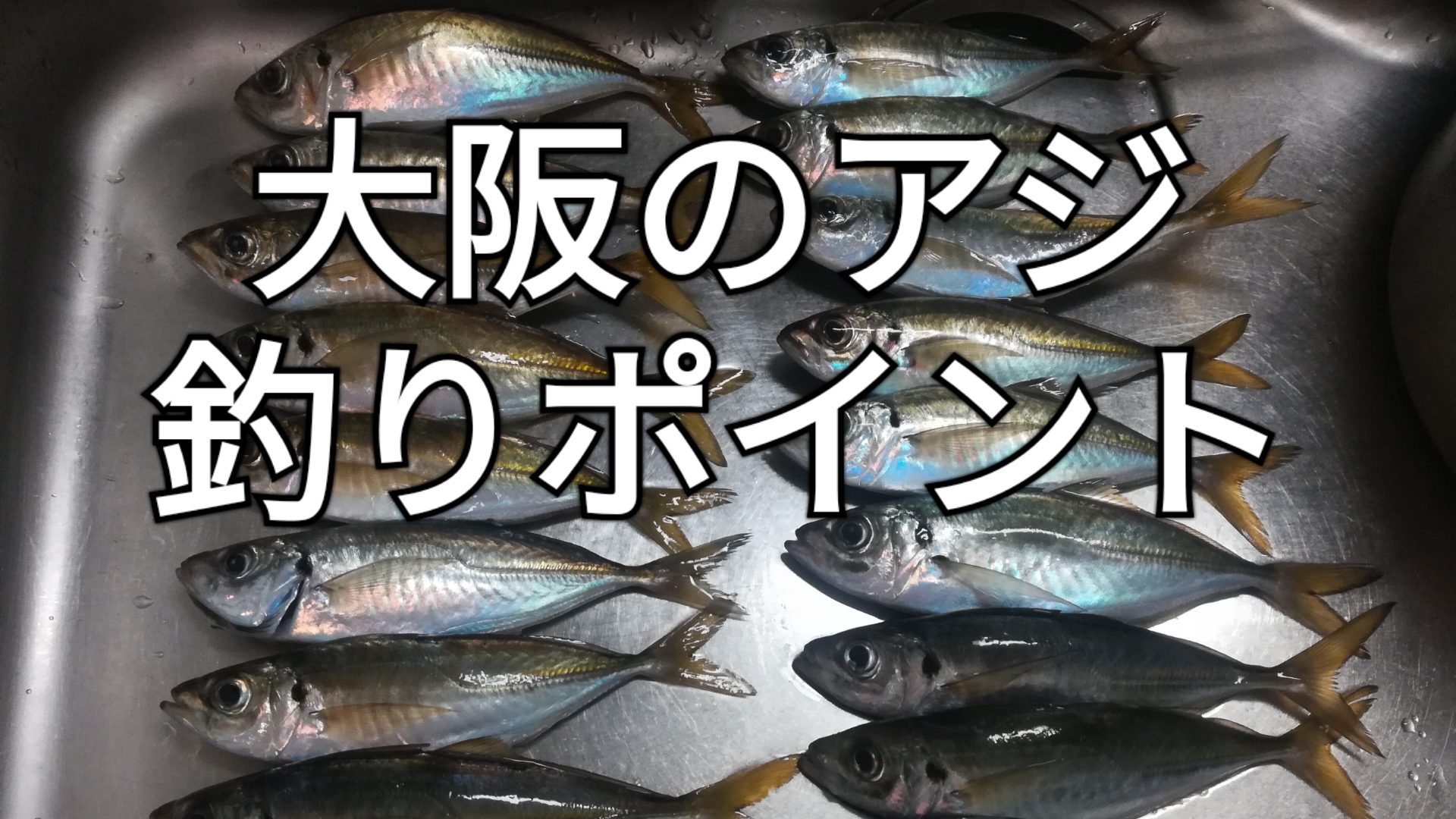21年版 大阪のアジ釣りポイント7選 アングリングインベスター