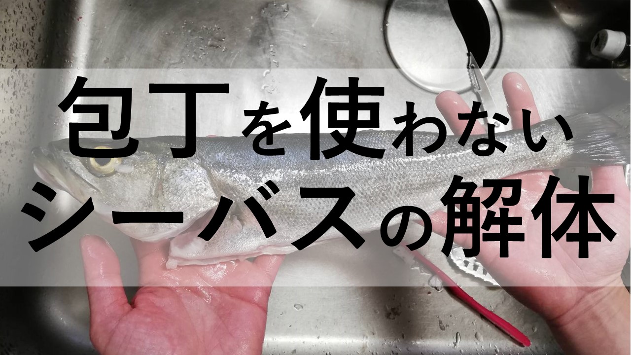 初心者用 包丁を使わない釣れたシーバスの安全な解体方法 アングリングインベスター 初心者用 包丁を使わない釣れたシーバスの安全な解体方法 アングリングインベスター