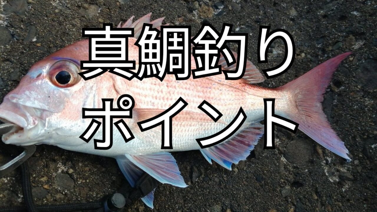 関西真鯛釣りポイント8選 22年版 アングリングインベスター