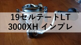 迷ったらこのリール！】19セルテートLT 3000XH インプレ 